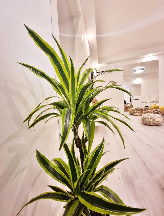 Un Ami Apartment Pula Bagian luar foto